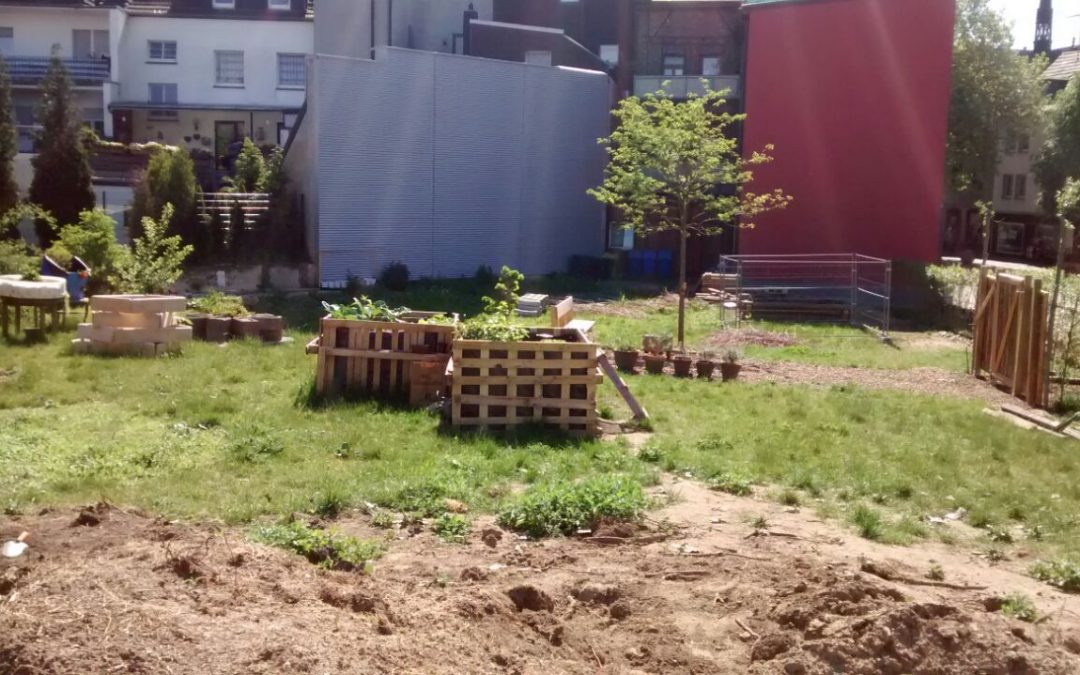 Fortschritte im „Kesselsgarten“