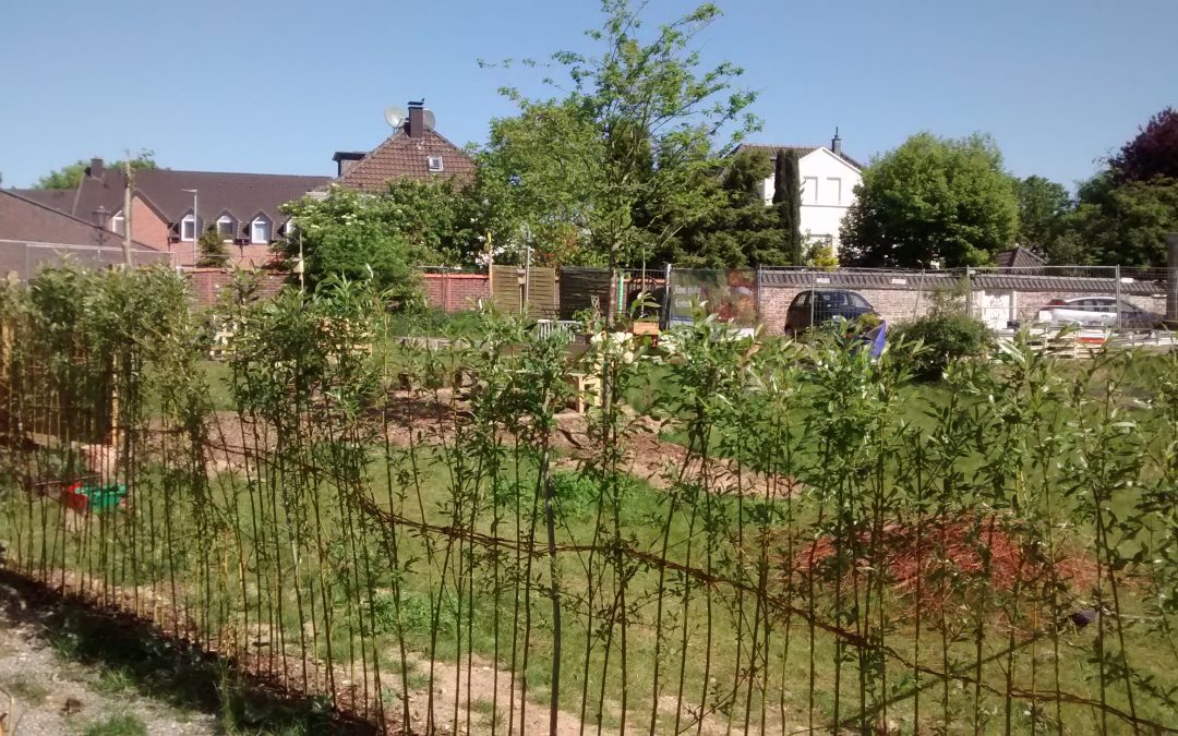 Macher im Kesselsgarten – ein Interview mit Jürgen Tüffers