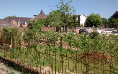 Macher im Kesselsgarten – ein Interview mit Jürgen Tüffers