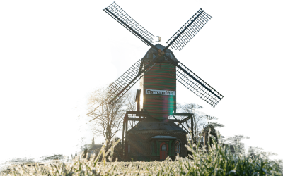 Die Narrenmühle virtuell besuchen